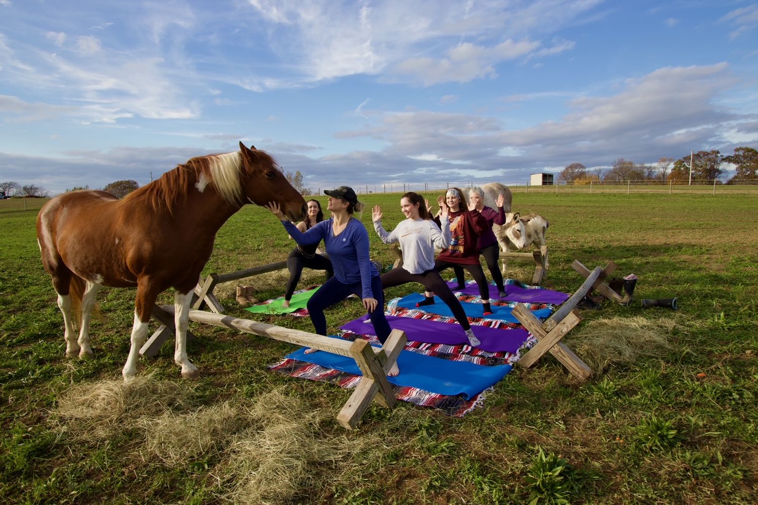 Group doing outdoor yoga on colorful mats in a sunny rural pasture as a brown horse nuzzles a participant and a small pony watches, blue sky and distant farm buildings