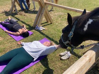 Horse Yoga on the Farm with Optional Hat Bar Experience image 31