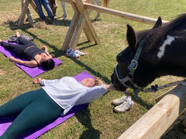 Horse Yoga on the Farm with Optional Hat Bar Experience image 31
