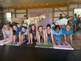 Group goat yoga in a rustic barn: eight women on mats in tabletop pose smiling as three goats walk across their backs under string lights and a goat-yoga banner.