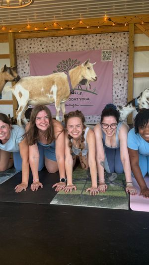 Group goat yoga in a rustic barn: eight women on mats in tabletop pose smiling as three goats walk across their backs under string lights and a goat-yoga banner.