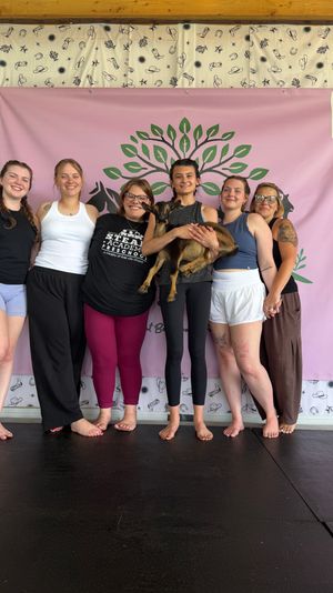 Six barefoot women smiling in an indoor studio in front of a pink banner with a green tree logo, one woman holding a small brown goat — playful goat yoga group photo