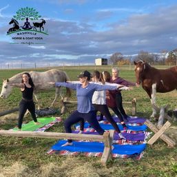 Group of women doing outdoor horse yoga on colorful mats in a grassy farm field with two horses near a wooden fence under a partly cloudy blue sky