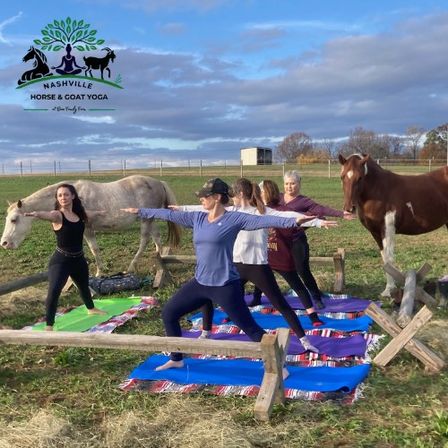 Group of women doing outdoor horse yoga on colorful mats in a grassy farm field with two horses near a wooden fence under a partly cloudy blue sky