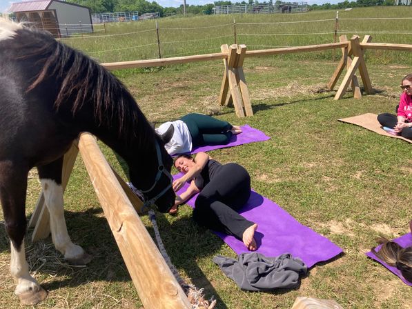 Horse Yoga on the Farm with Optional Hat Bar Experience image 38