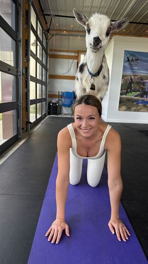 Smiling woman in tabletop yoga pose on a purple mat with a small goat standing on her back inside a bright barn-style indoor goat-yoga studio with large glass garage doors