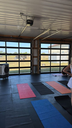 Sunlit rural workout studio with colorful yoga mats on black rubber flooring and glass-paneled garage doors opening to a grassy pasture with horses and farm buildings.