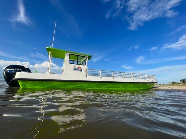 Sunlit lime-green and white motorboat with Mercury outboard anchored in shallow coastal water off a sandy shoreline under a bright blue sky