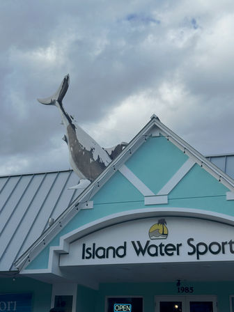 Whale tail sculpture mounted on the roof of a turquoise coastal storefront with string lights and a metal roof under a cloudy sky.