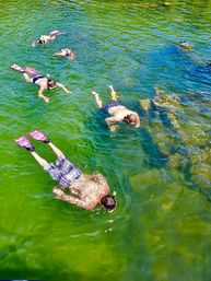 Aerial view of several snorkelers with bright fins floating face-down in vibrant green water over a rocky seabed.