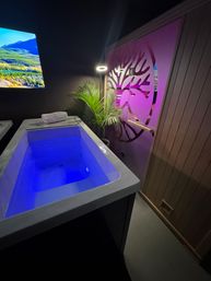 Modern indoor spa room with blue-lit hydrotherapy tub, potted palm, and pink LED-lit sauna wall art.