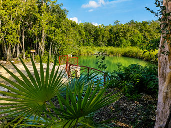 Sound Healing and Cacao Ceremony in a Private Cenote, Tulum image 2