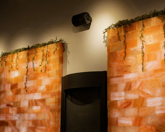 Warm Himalayan salt brick wall with hanging greenery, a wall-mounted speaker and black fireplace under soft amber lighting