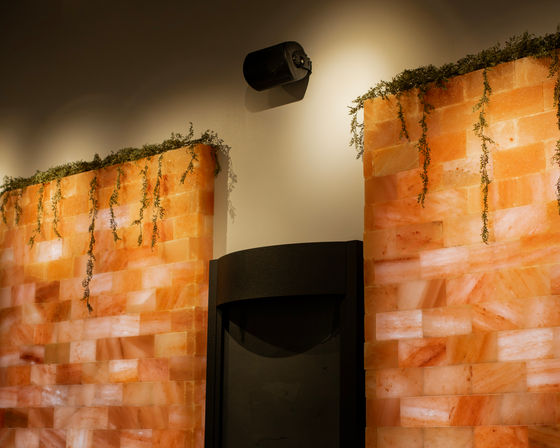 Warm Himalayan salt brick wall with hanging greenery, a wall-mounted speaker and black fireplace under soft amber lighting