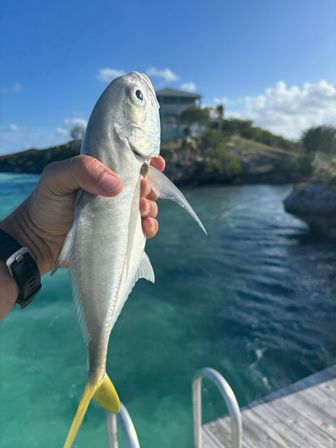 Ole Ike Bay -Exuma Bahamas - Ocean Views, Private Beach, Dock, Pickleball and Watersports Activities image 4