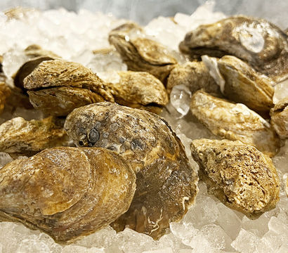 Savannah Taste And Experience Food Tours
