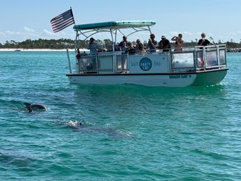 Group on a teal-roofed party pontoon boat flying an American flag, watching dolphins break the surface in clear turquoise coastal water with a white sandy beach in the background.