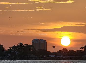 Vibrant orange coastal sunset with a large glowing sun near the horizon, silhouetted high-rise and palm tree on a waterfront skyline, tree silhouettes, calm water reflections and a lone bird in the sky.