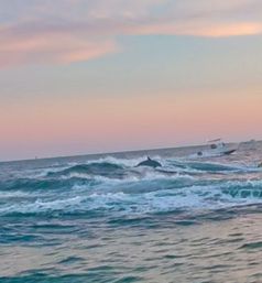 Dolphin breaching choppy turquoise waves near a small boat under a pastel pink-and-blue sunset sky along the coast.