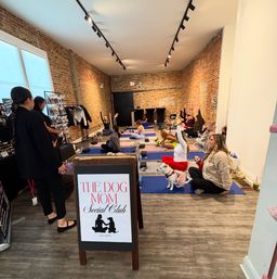 Dog-friendly yoga class inside an urban brick-walled studio, participants on mats stretching and raising arms while small dogs lounge nearby under track lighting and tall windows.