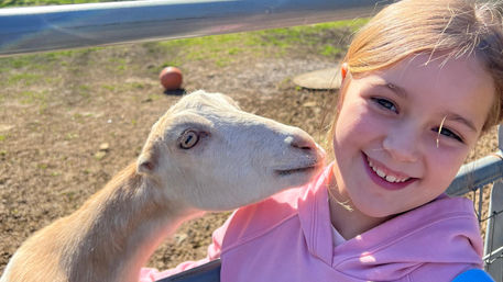 Close-up of a smiling girl in a pink hoodie being nuzzled by a light-tan goat over a metal fence on a sunny petting farm