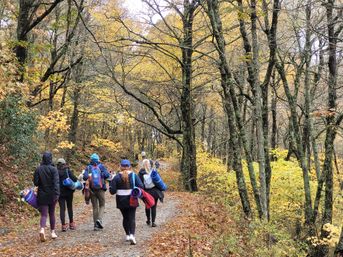 Group of people carrying rolled yoga mats walking away along a leaf-strewn forest trail surrounded by tall trees with golden autumn foliage.