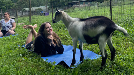 Smiling woman lying on a blue yoga mat in a grassy fenced pasture during an outdoor goat yoga session as a black-and-white goat stands nearby and another participant sits on a mat in the background.