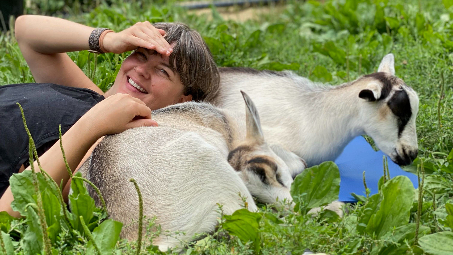 Smiling person lounging in a lush green pasture, cuddling two sleepy white-and-brown goats resting in the grass