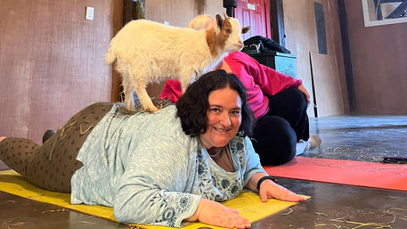 Smiling woman lying on a yellow yoga mat in a rustic barn as a small brown-and-white goat stands on her back during a playful indoor goat yoga session