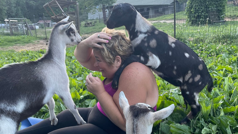 Woman laughing in a pink tank top as three playful baby goats climb on her in a green rural farm pasture with fencing and a barn in the background.