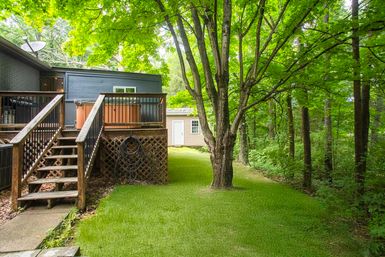 Backyard with a raised wooden deck and stairs leading to a hot tub, coiled garden hoses under lattice, a large shade tree on a bright green lawn and dense woods beyond.