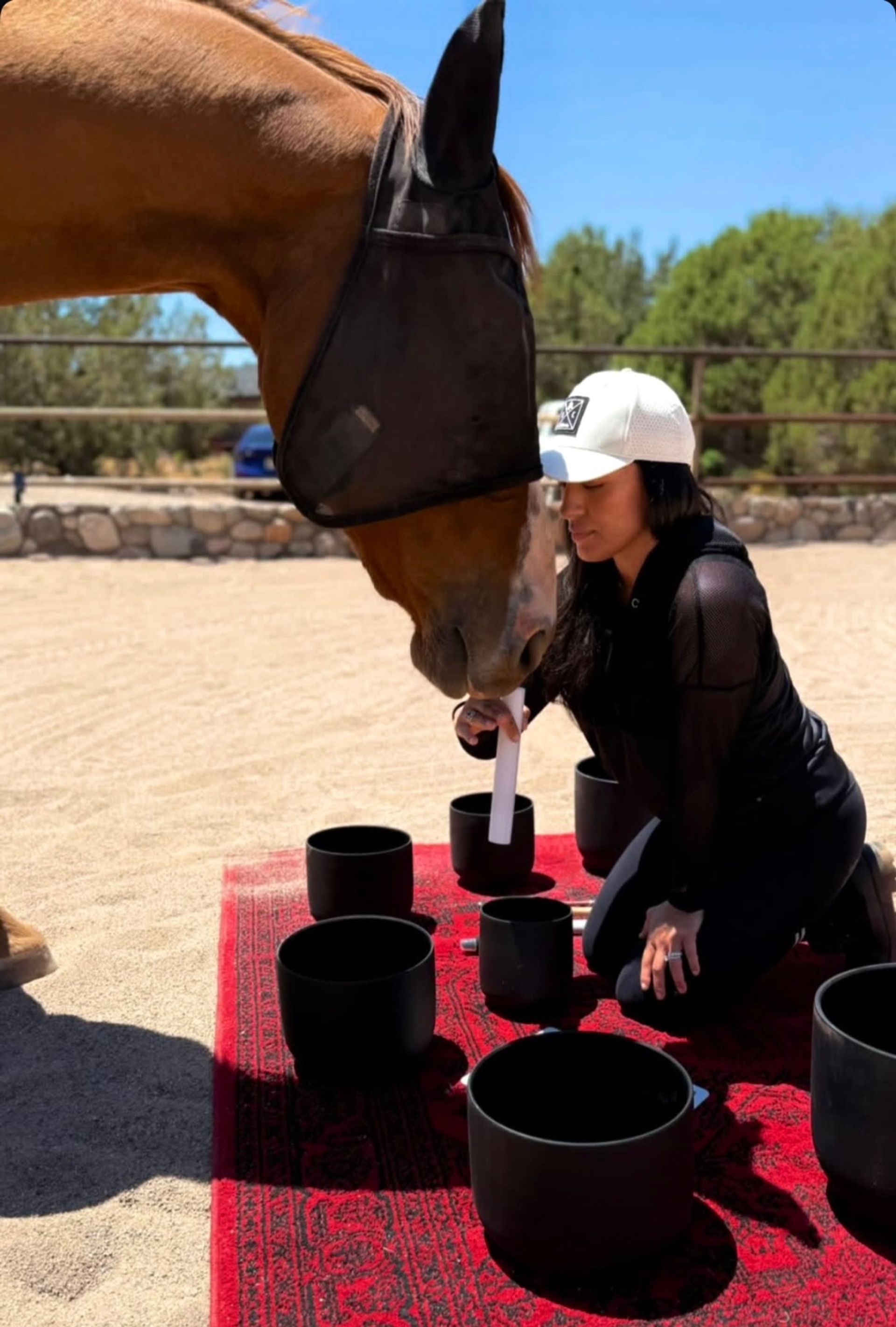 Brown horse wearing a fly mask leans over a woman kneeling on a red rug in a sunny outdoor arena as she plays black singing bowls with a mallet - equine sound therapy scene