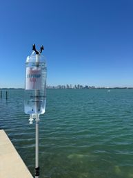 IV hydration bag on a pole at a Miami waterfront, turquoise bay and distant city skyline under a clear blue sky