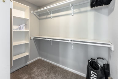Tidy empty carpeted walk-in closet with white built-in shelves, upper and lower hanging rods, a small garment steamer on a shelf and a black laundry bag in the corner.