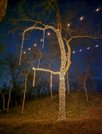 White Peacocks & Ranch Vibes: Stay, Celebrate, Repeat image 14