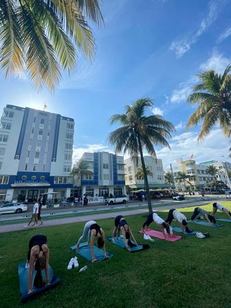 Sunny outdoor yoga class on a grassy lawn under palm trees with Art Deco hotels along Ocean Drive in Miami Beach and a bright blue sky.
