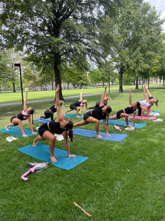 Group outdoor yoga class on colorful mats doing side-plank stretches on a shady, tree-lined green lawn in a park.