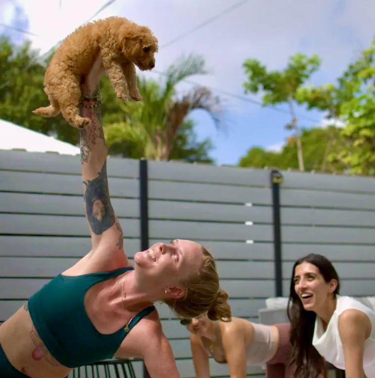 Woman in a teal sports bra holding a small fluffy tan puppy overhead while smiling friends watch in a fenced backyard patio with palm trees