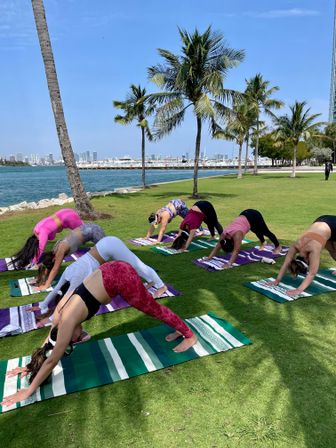 Group outdoor yoga class doing downward dog on striped mats under palm trees in a sunny waterfront park with blue water and a distant city skyline