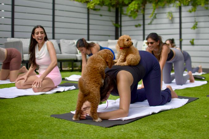 Outdoor puppy yoga class on a green lawn with women on yoga mats in tabletop poses while two small curly brown puppies climb and play on a participant’s back, others smiling and laughing.