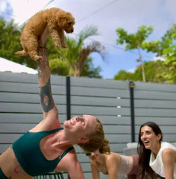 Woman in a teal sports bra holds a small curly-haired puppy aloft while in a side-plank during a sunny outdoor backyard yoga class, friends smiling nearby with palm trees and a fence in the background.