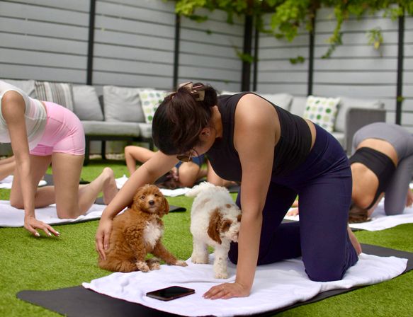 Outdoor puppy yoga session on a grassy patio: woman in workout clothes kneeling on a mat, petting two small brown-and-white puppies while others practice yoga in the background.