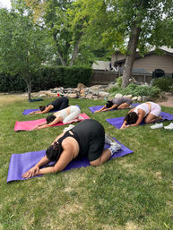 Backyard yoga: five people in child's pose on colorful mats on green grass under trees beside a rock garden in a suburban outdoor setting.
