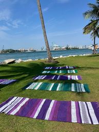 Colorful purple and green striped mats laid in rows on grassy waterfront under a leaning palm, rocky shoreline and city skyline across the bay on a sunny blue day.
