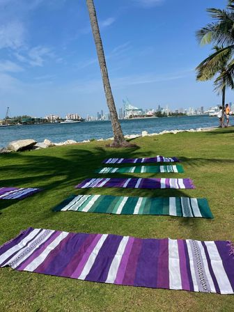 Colorful purple and green striped mats laid in rows on grassy waterfront under a leaning palm, rocky shoreline and city skyline across the bay on a sunny blue day.