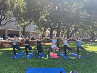 Six women holding hands and balancing in tree pose on colorful yoga mats on a sunny urban park lawn under large shade trees.