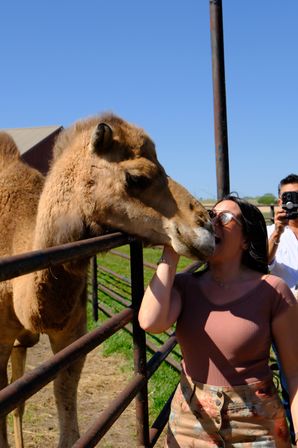 Private Cowboy Ranch Experience with Horseback Riding Near Kansas City image 23