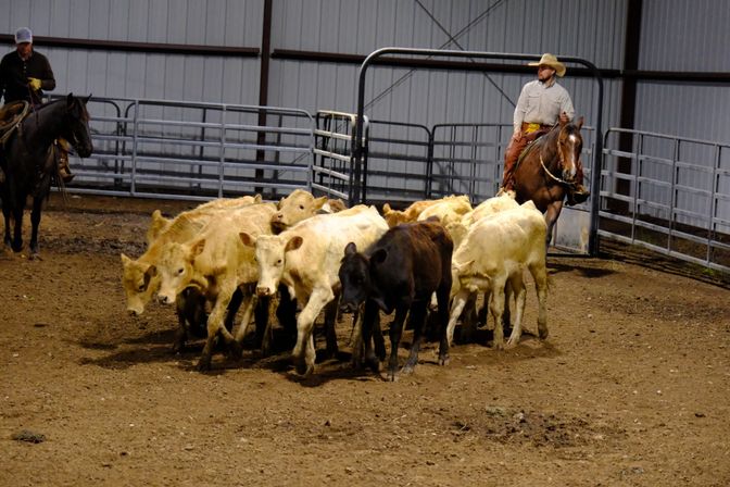Private Cowboy Ranch Experience with Horseback Riding Near Kansas City image 17