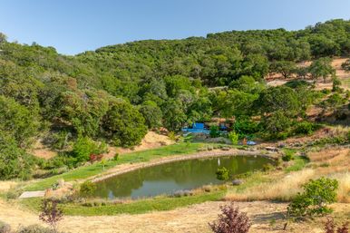 Sonoma Mountain Estate image 60