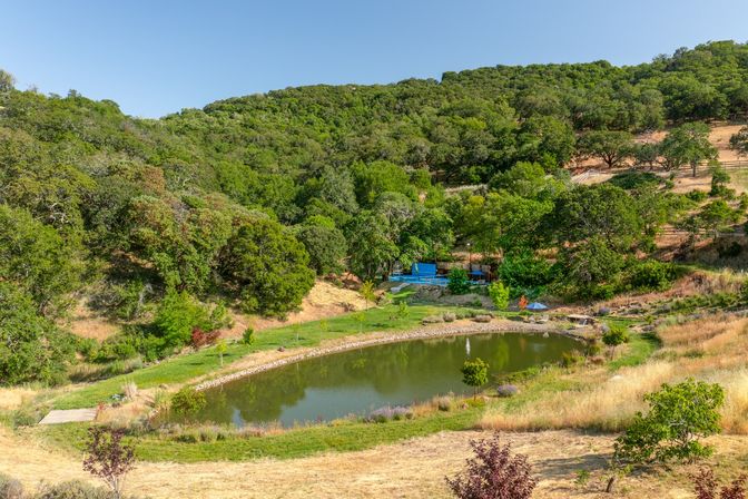 Sonoma Mountain Estate image 60